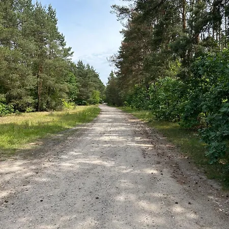 Apartment Dworska